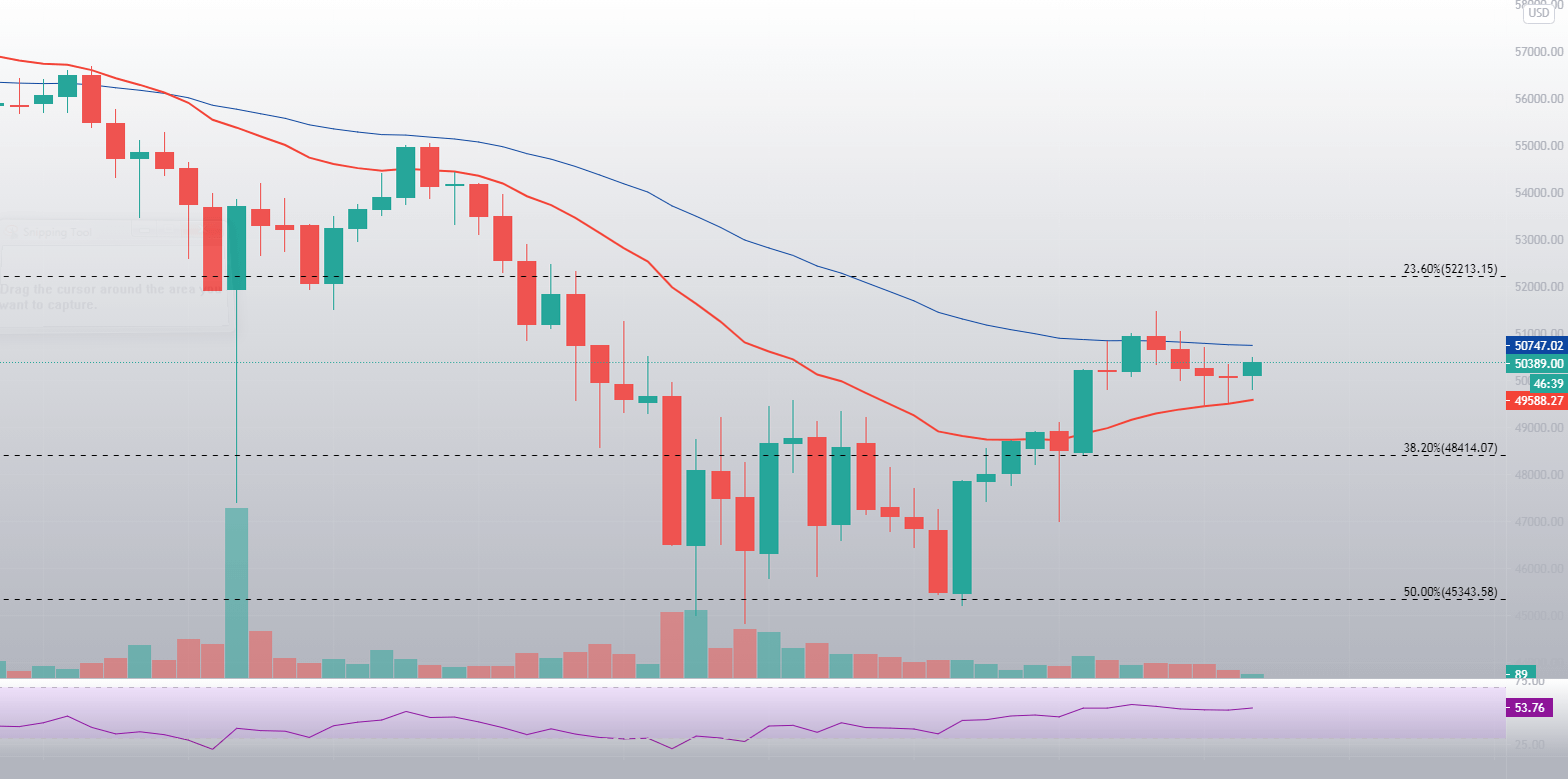 Bitcoin price chart